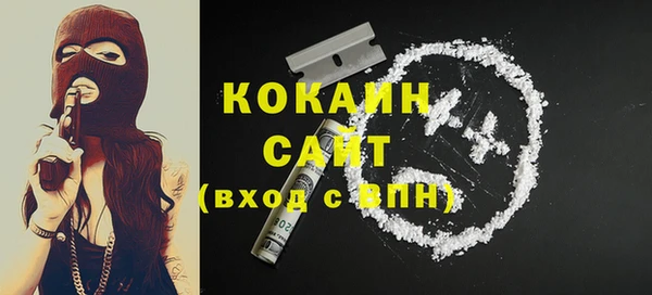 молекула духа Михайлов