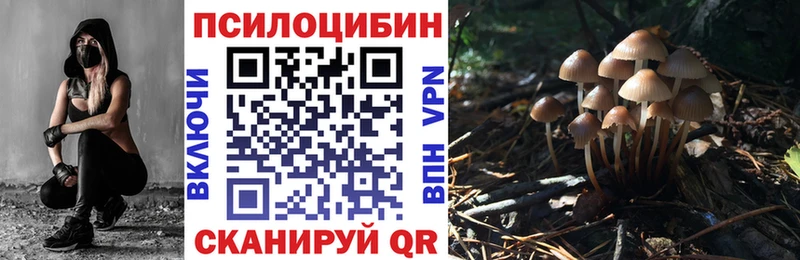 ссылка на мегу ССЫЛКА  Находка  Псилоцибиновые грибы Psilocybine cubensis  сколько стоит 